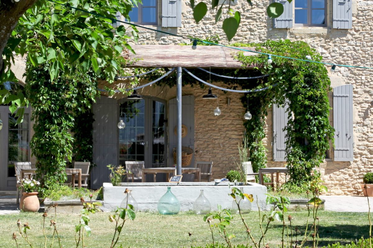 Des plantes grimpantes pour un été à l'ombre sous votre pergola