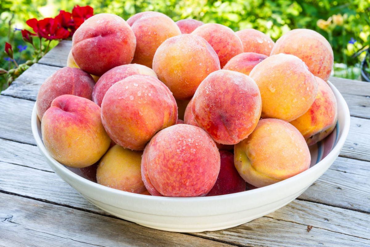 Le dessert d'été facile à préparer qui va vous séduire