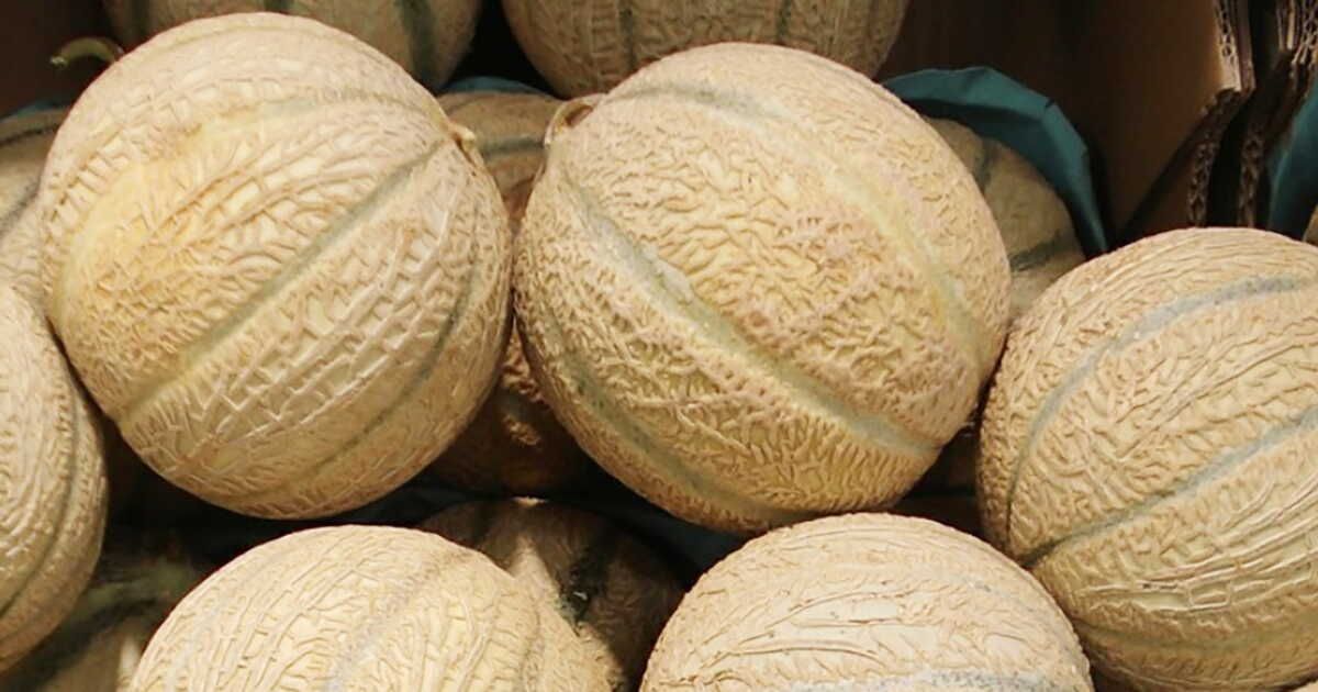Les saveurs ensoleillées du Lubéron : un voyage culinaire à ne pas manquer