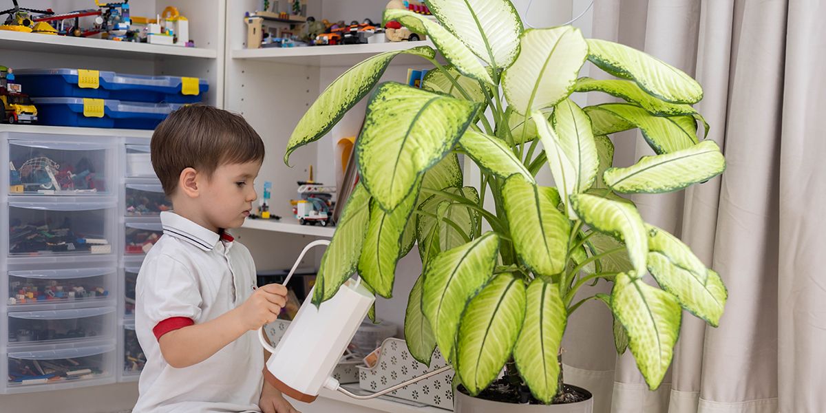 Les plantes dans la chambre d'enfant : une touche de verdure bénéfique