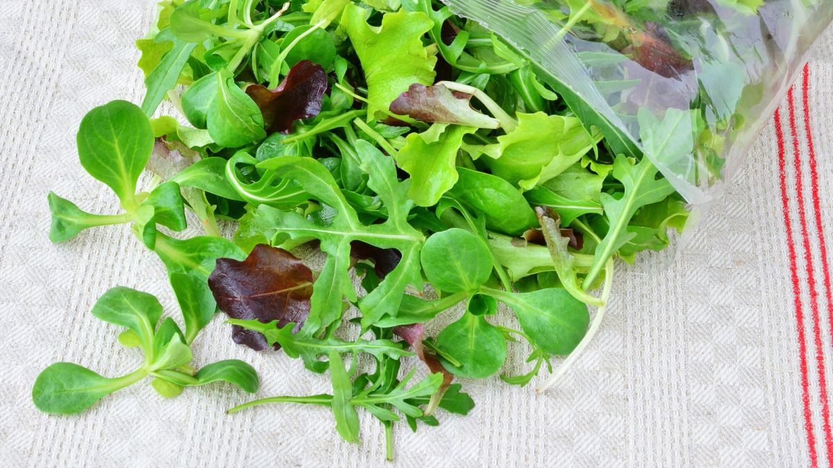 Les salades en sachet à éviter : ce que révèlent les tests de 60 millions de consommateurs