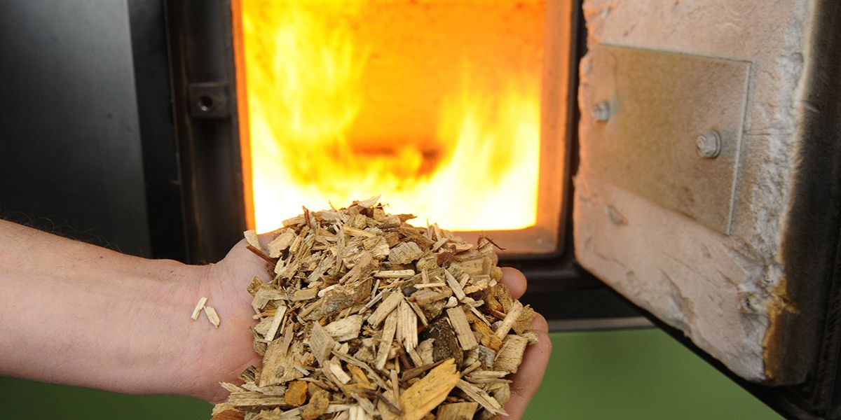 Adoptez la chaudière biomasse : une solution pour un chauffage écologique et économique