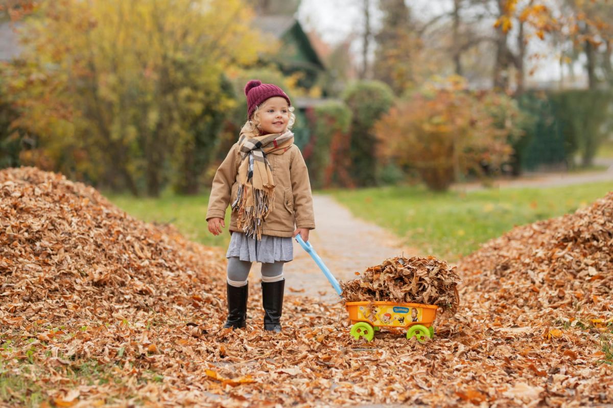 la mystérieuse importance des feuilles mortes pour la biodiversité de votre jardin