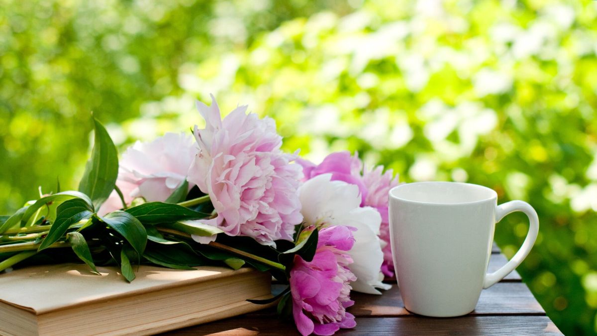 Plantes et passions : offrez des livres sur les jardins enchanteurs
