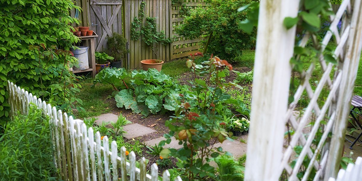 transformez votre potager en un espace à la fois esthétique et fonctionnel