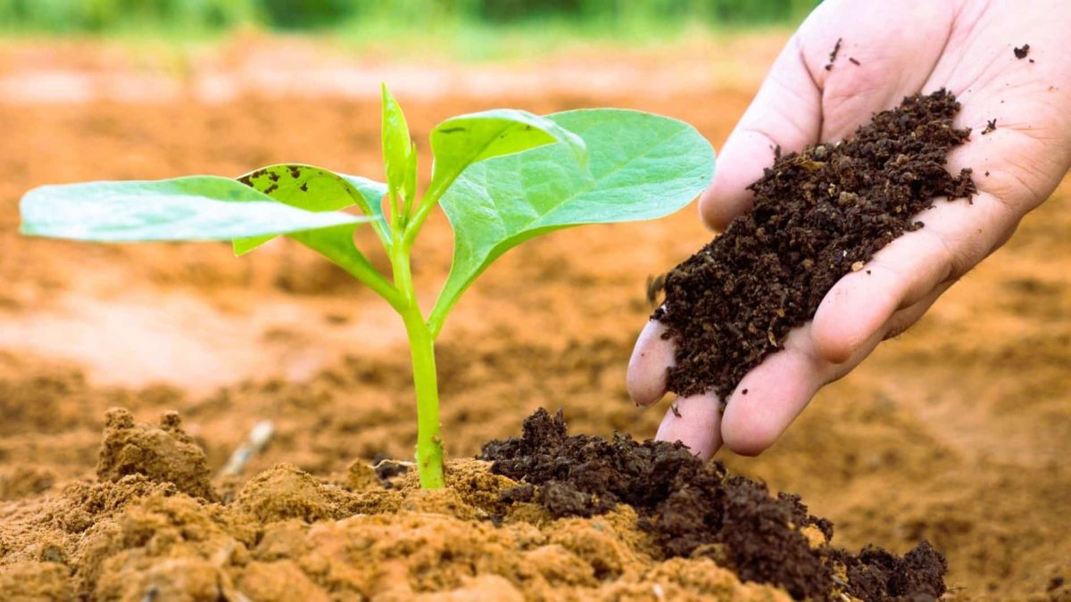 Préparez votre jardin pour un printemps éclatant avec ces gestes essentiels