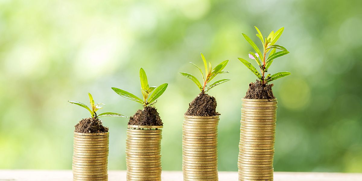 Quelle différence entre une épargne et un placement financier ?