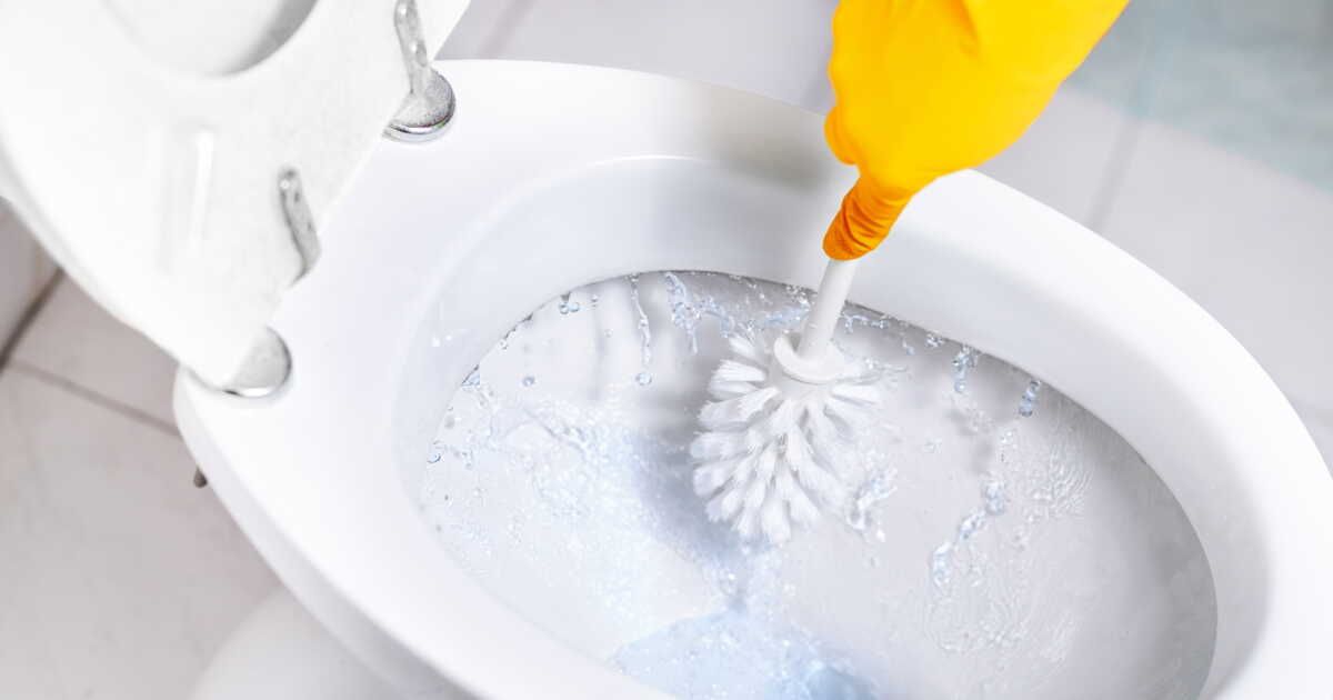 L'indispensable entretien de votre brosse WC