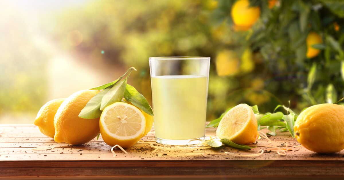 Découvrez les citrons : les variétés qui boostent votre santé