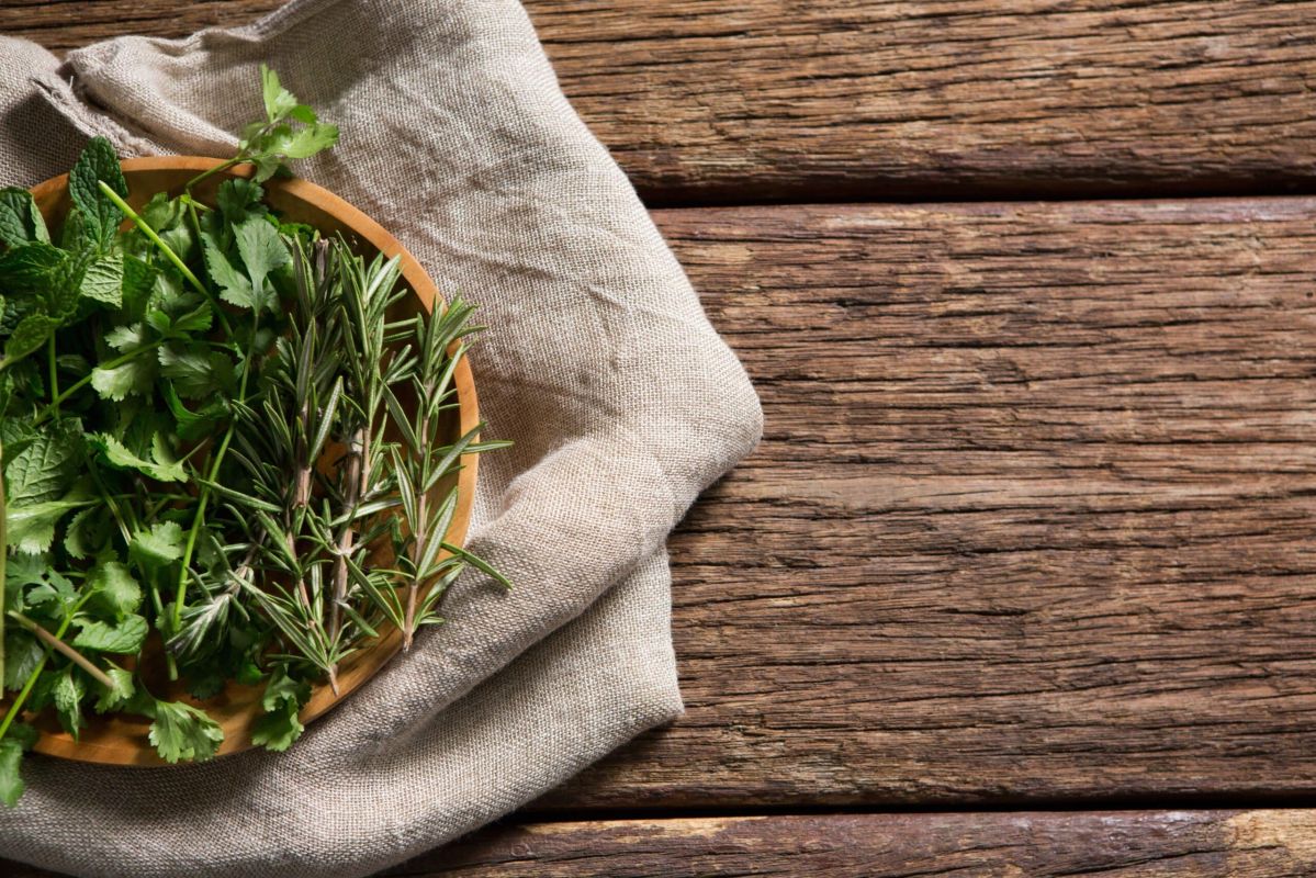 3 herbes aromatiques à planter fin août pour un automne savoureux