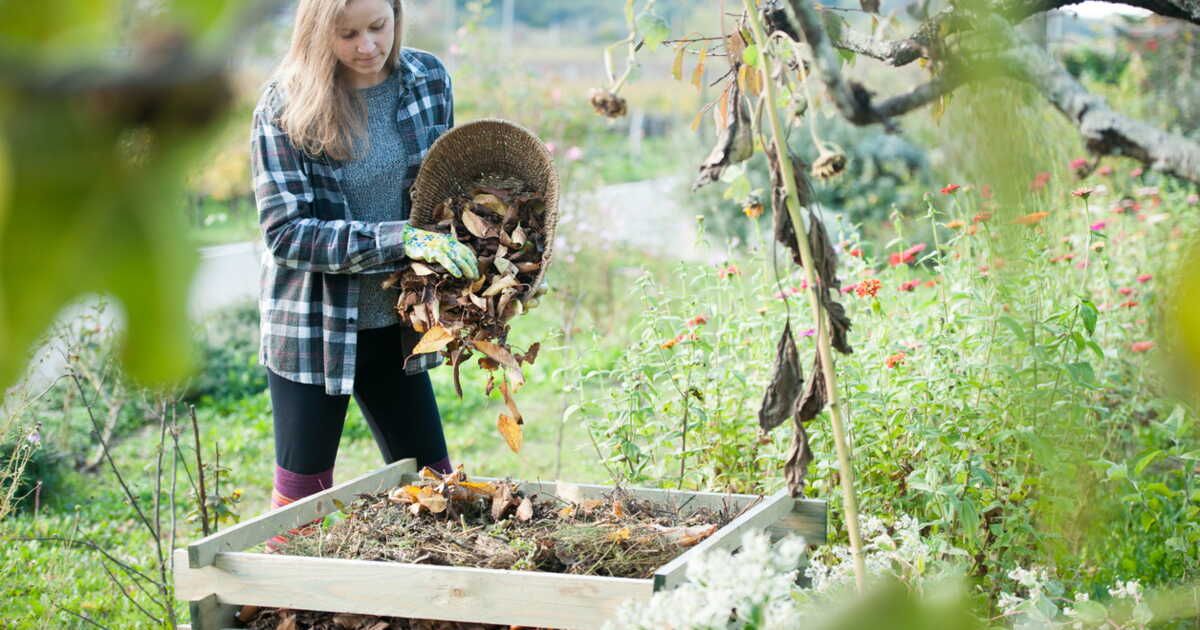 Démarrer le compostage : guide pratique pour un geste écologique
